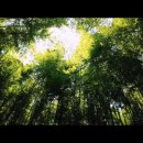 옛숨결 | 고창 홍보 브랜딩 영상 : 역사의 숨결 - 스튜디오휀