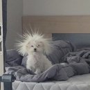 서울아이비에프여성의원 이미지