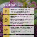 멍미뇽 | [마르쉐] 마르쉐 농부시장 서울 꿀벌 후기 서울숲 26.06.06