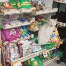 그날, 간식 이미지