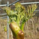 억대농장 이미지