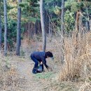 정임 - 유성구 대정로28번안길 25 | 정임