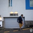 [여행] 길고양이와 공생하는 부산 청사포 고양이 마을 이미지