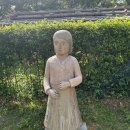 평화제분 | 정선 아라리촌에서 만난 옛 정선의 풍경, 무료로 둘러보기 좋은 여행지