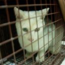 금강동물병원 이미지