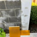 홀리호랑 | 제주 협재 감성 숙소 협재 에어비앤비 홀리호랑1 후기