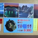 소문난손짜장 이미지