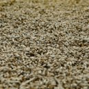 보리한의원 이미지