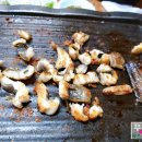 온평포구식당