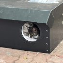 서진여자고등학교(기숙사) 이미지