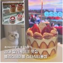 산청솔라시티1호 | 건대 딸기케이크맛집 추천 블리스테이블 스타시티몰점 솔직후기