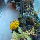 경주중학교 이미지