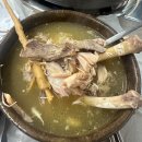 유로코피자 기장일광점 | 기장 일광역 맛집 "용천집" 백숙 찐맛집 추천