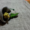 윤제린자연염색