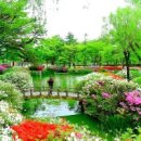 연못으로 이미지