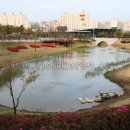 고래놀이터 이미지