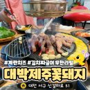 대박제주꽃돼지