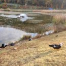 배은휘공인중개사사무소 이미지