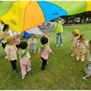 사랑숲어린이집 - 창원시 진해구 | 사랑숲어린이집