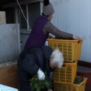 비금농장 이미지