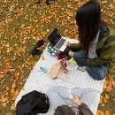 Soon's place | 사실 차씹도는 서울이 아니라 캐나다가 아닐까..? (using english too for my GV friends🥹)