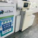 애견갤러리 강아지분양 애견샵 이미지