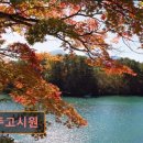방주고시원