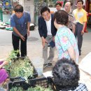 수원-파장-파장-2 이미지