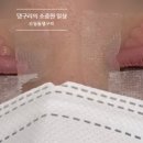 위아래쉬 네이버블로그