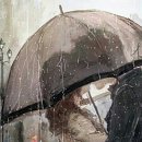 이비농장 이미지