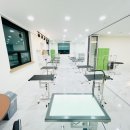 스카이 애견 이미지