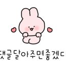 함초당&알로하피크닉 이미지