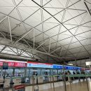 동방성 | [버짓에어 통해서 예매한 ‘중국동방항공’ 내돈내산 솔직후기] :: 여권 성/이름 바꿔써서 빠꾸먹을뻔한 썰