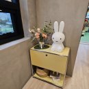 머물다 주도 이미지