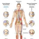 365스마일한의원 이미지