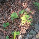 산속농원 이미지