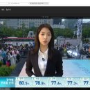 오 용인 5000번 버스 티비에서 보니 신기방기 이미지