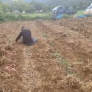 연원농장 이미지