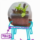 테이크팜