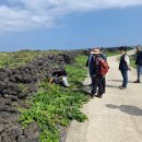 행원환해장성 이미지