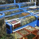 대천항수산시장 이미지