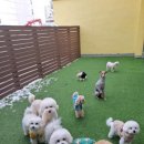 맡겨보개 이미지