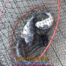 독도바다낚시터 이미지