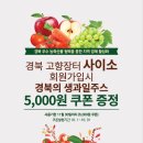 엔제리너스 이미지