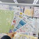 다이소신포국제시장점 이미지