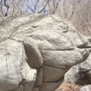 소백산 국망봉 돼지바위 Daum카페