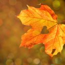 리샘한의원부천점 이미지