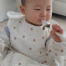 12개월 돌 아기 에디슨 교정 젓가락 스푼포크 세트 사용 후기