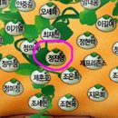 이추형 Daum카페