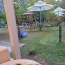 신미목장 이미지